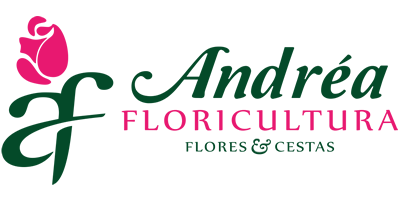 Andrea Floricultura